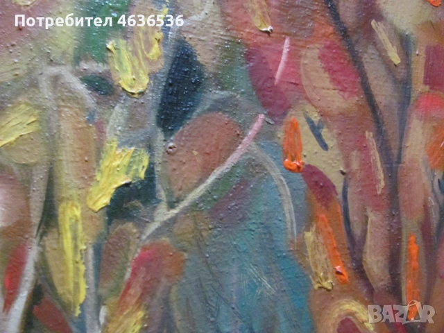 Красива Картина масло, платно ,художник Силвия Радева, снимка 3 - Картини - 52573752