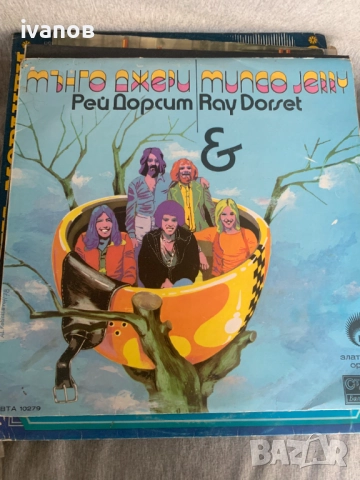 грамофонни плочи, снимка 6 - Грамофонни плочи - 52162491