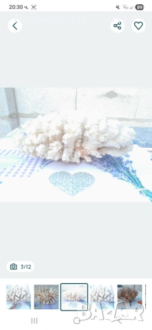 Морски артикули декорация , снимка 3 - Други - 53250087