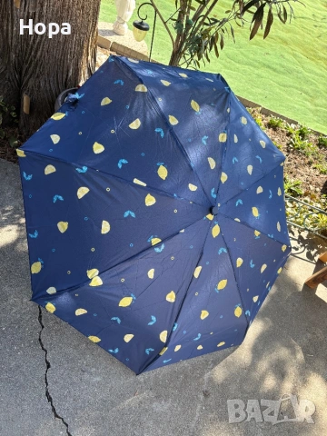 Сгъваеми чадъри с лимони и ягоди , снимка 11 - Други - 53750480