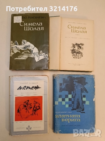 Метеж - Дмитрий Фурманов, снимка 2 - Художествена литература - 51806680