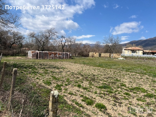 Голям, слънчев парцел, снимка 3 - Парцели - 54017537