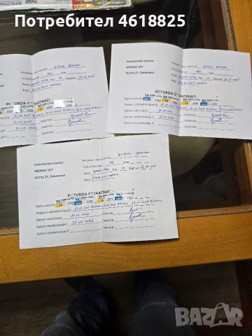 Немски овчарки Топ, снимка 18 - Немска овчарка - 53389024