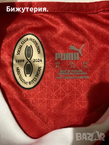 AC Milan Puma 24/25 Authentic Jersey , снимка 6 - Спортни дрехи, екипи - 48204920