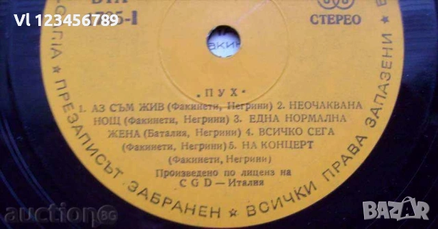 грамофонна плоча - Група Пух / Pooh - Viva - № 1795 , снимка 4 - Грамофонни плочи - 53916780