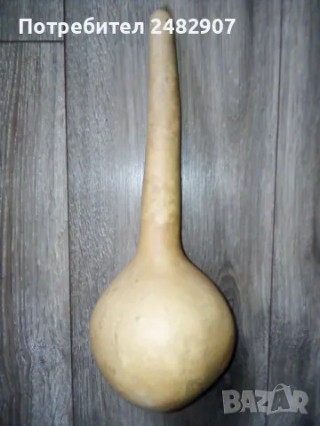 Кратуна със семки, снимка 3 - Декорация за дома - 49868000