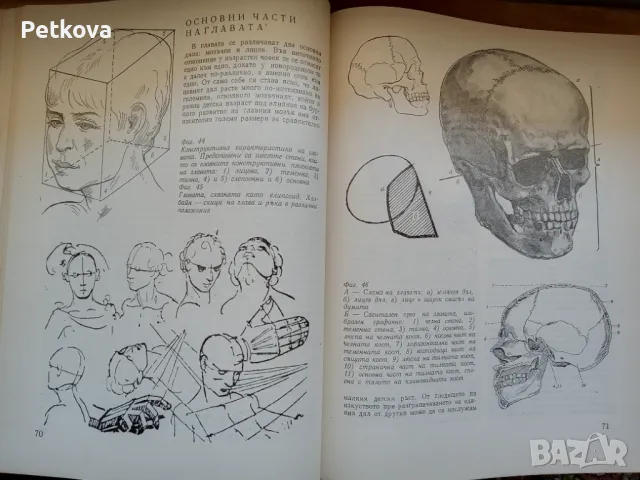 Пластична анатомия , снимка 2 - Енциклопедии, справочници - 47905423