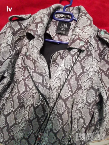 Дамско велурено яке змийски принт, снимка 3 - Якета - 49945660