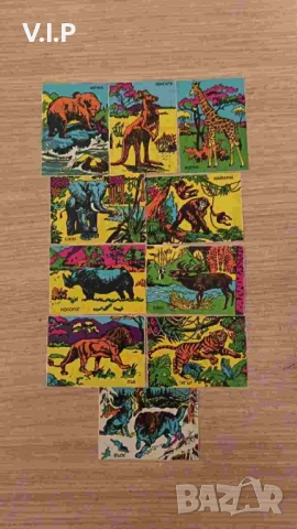 Картинки от дъвки Идеал 10 броя