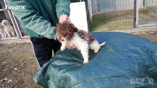 Лагото Романьоли , снимка 3 - Други - 52713937