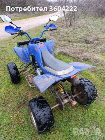 Atv 250 shanray, снимка 3 - Мотоциклети и мототехника - 53498769