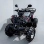 Електрическо ATV - Grizzly 2500W (Черен) 2026, снимка 1