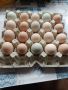 Домашни яйца от свободни кокошки , снимка 1
