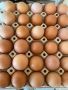 Домашни яйца, снимка 1 - Кокошки и пуйки - 45111370