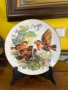 Чинията е много красива♥️ Колекционерска порцеланова чиния от серията „Hungrige Rotkehlchen“ (Гладни, снимка 1