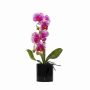 Изкуствена орхидея в саксия 40см KD3256, снимка 1 - Изкуствени цветя - 45451638