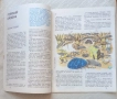 Мурзилка. 1981. № 10, снимка 3