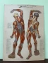 Соц Анатомични Медицински Плакати, снимка 4