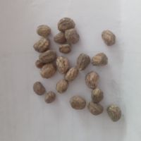 Семена черна латинка каскадна  5 бр за 2 лв, снимка 2 - Градински цветя и растения - 46162554