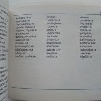 Българско-Италиански разговорник - 2007г., снимка 4 - Чуждоезиково обучение, речници - 45225100