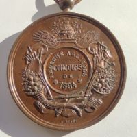 Красив медал "Concours Ardenne Agricole 1884 Ville de Stavelot", снимка 3 - Антикварни и старинни предмети - 45573504