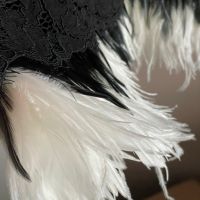 Donna Karan NY black label Runway Мини рокля с пера, М, снимка 8 - Рокли - 45878561