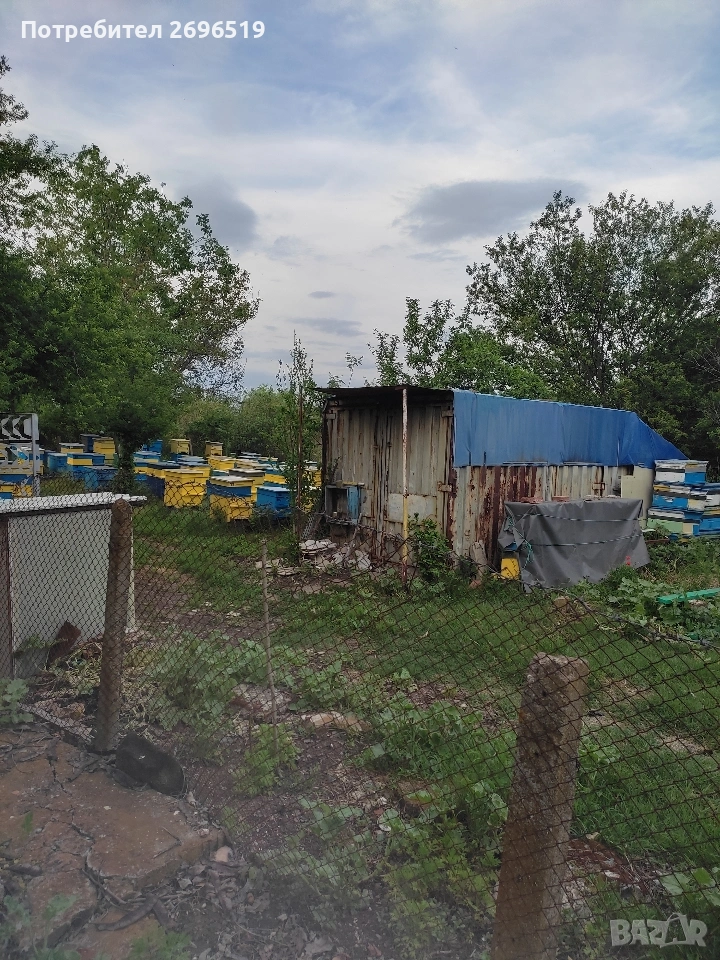 пчелин, снимка 1