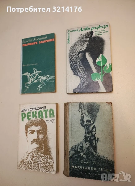 Мълчаливи герои - Дора Габе, снимка 1