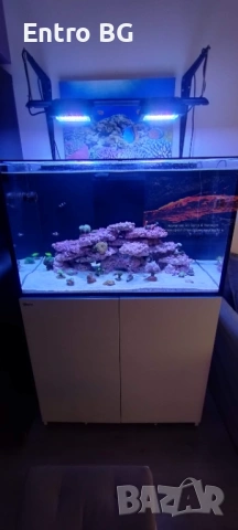 Морски аквариум red sea 300g2+