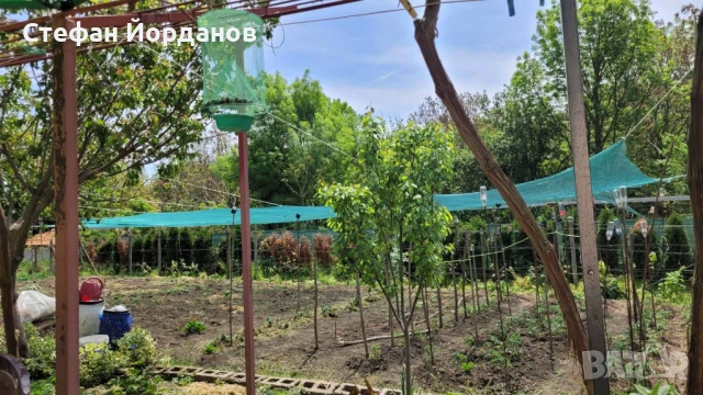 Парцел, снимка 6 - Парцели - 52220095