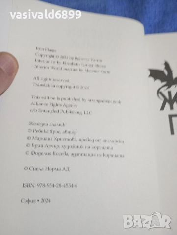 Ребека Ярос - Железен камък , снимка 5 - Художествена литература - 52285868