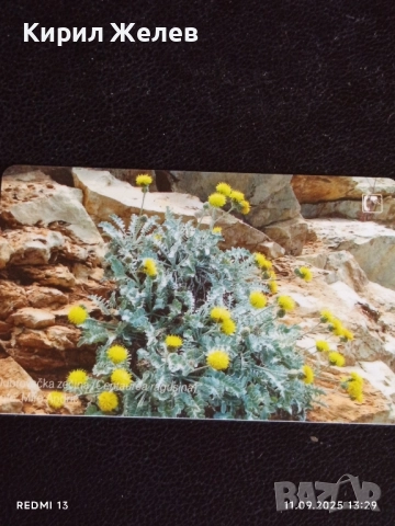 Три фонокарти ХЪРВАТИЯ, ГЕРМАНИЯ стари редки за КОЛЕКЦИЯ ДЕКОРАЦИЯ 50941, снимка 6 - Колекции - 51677998