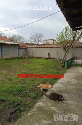 Едноетажна къща в село Узунджово обл. Хасково, снимка 14 - Къщи - 49738232