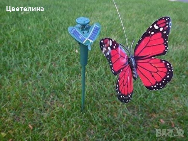 Декоративна пеперуда със соларно активиране, снимка 3 - Декорация за дома - 46143852