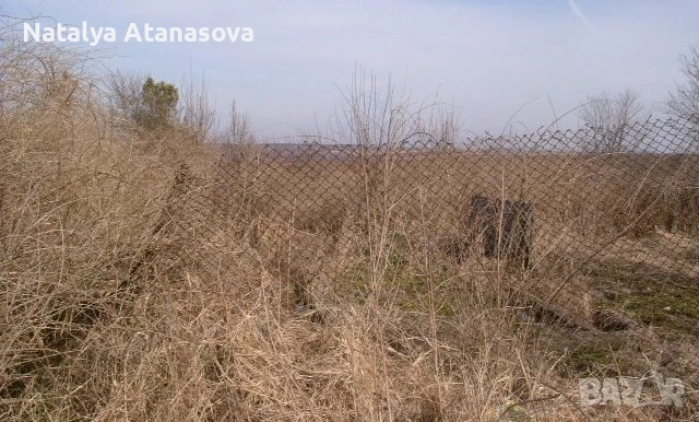 Парцел за продажба в Сърнец, област Добрич, снимка 9 - Парцели - 53656540