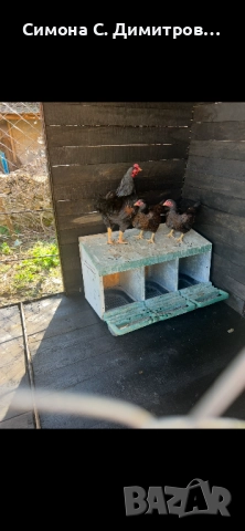 Корниш , снимка 1