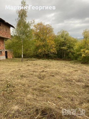 Почистване и косене на имоти , снимка 9 - Други почистващи услуги - 53816255