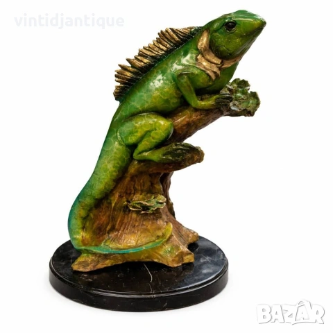 Зелена игуана, разположена върху ствол на дърво