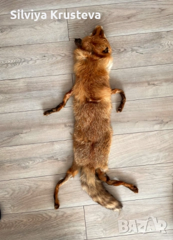 Кожа от лисица, снимка 2 - Други - 53225200