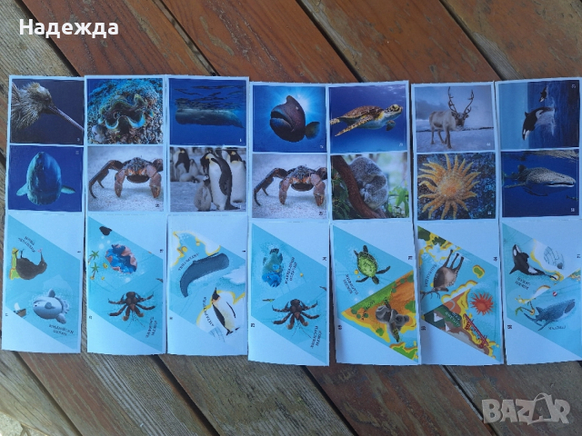 БИЛА Стикери - Невероятните животни по света, снимка 3 - Колекции - 54173365