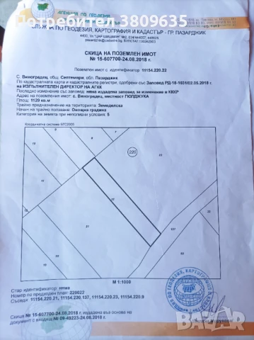 Земеделска земя , снимка 2 - Земеделска земя - 50994641