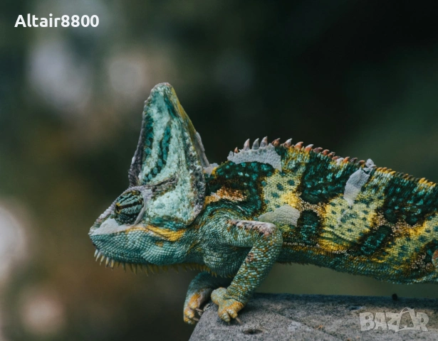 Nikon AF-S 18-140mm f/3.5-5.6G ED VR обектив Никон, снимка 6 - Обективи и филтри - 53567149