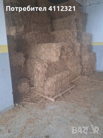 Бали люцерна - доставка на място , снимка 4 - За селскостопански - 53218939