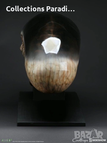 Sideshow Alien 1:1 Bust статуя фигура, снимка 4 - Колекции - 54126569