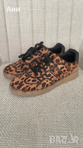 Кецове нови