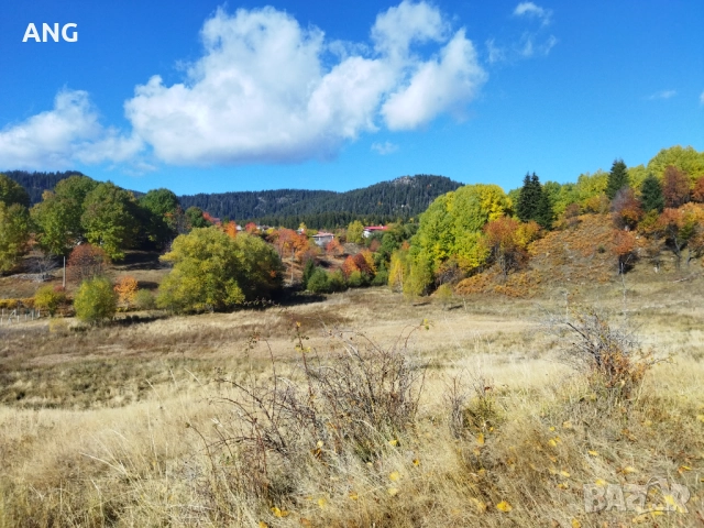 Продава парцел в Смолянски езера , снимка 8 - Парцели - 52178672