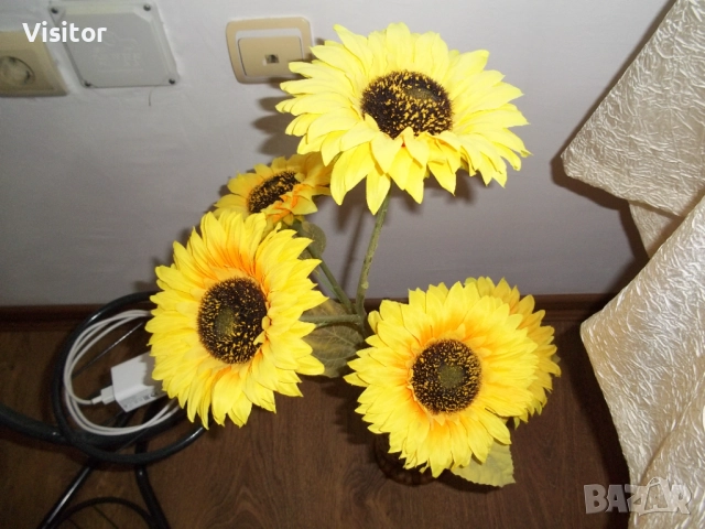 Kodak EasyShare M531  14MPx, снимка 12 - Фотоапарати - 52896491