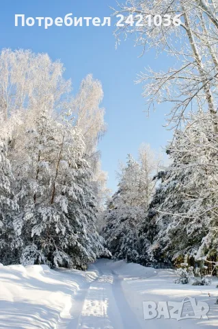 парцел в регулация село Юндола, снимка 2 - Парцели - 46804551