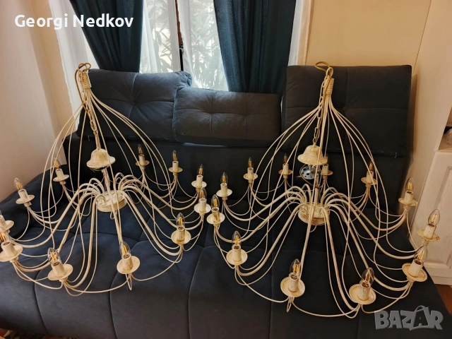 полилеи, снимка 3 - Полилеи - 53658721