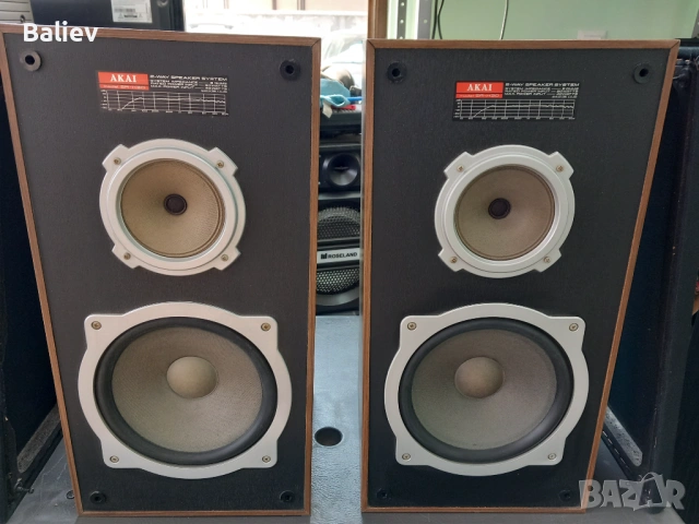 AKAI SR-H30 тонколони, снимка 12 - Тонколони - 54044933